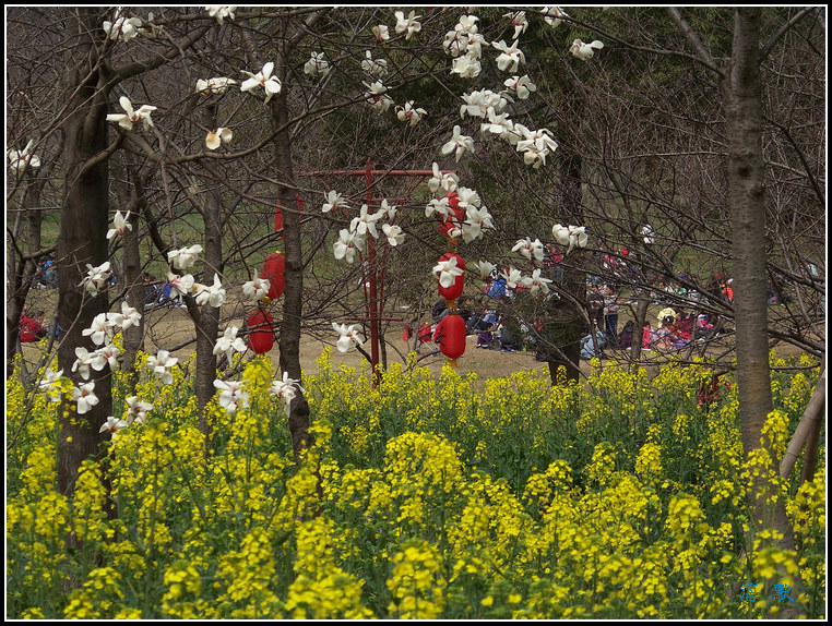 20110317pӣ԰ (39).jpg