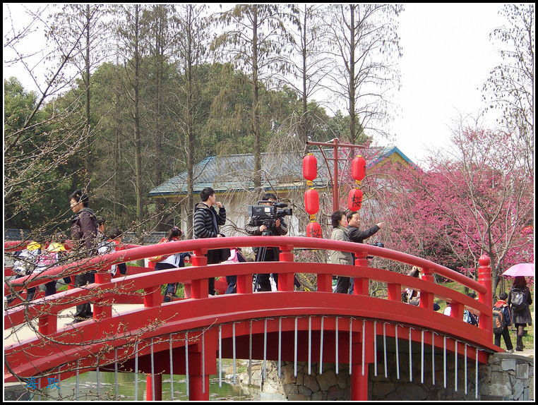 20110317nĥɽӣ԰ (39).jpg