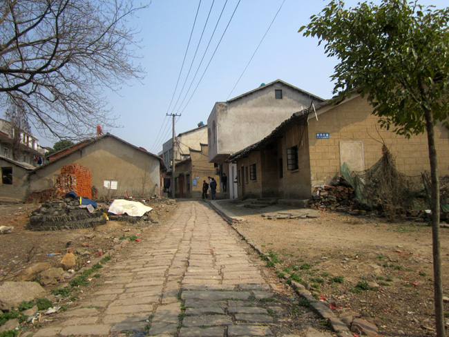 img_8496.jpg