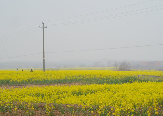 dscn4102.jpg