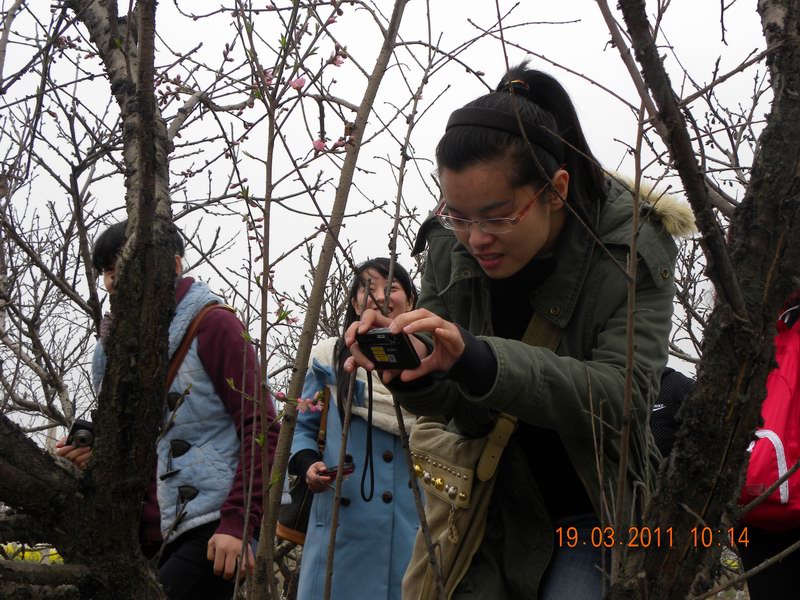 dscn3667.jpg
