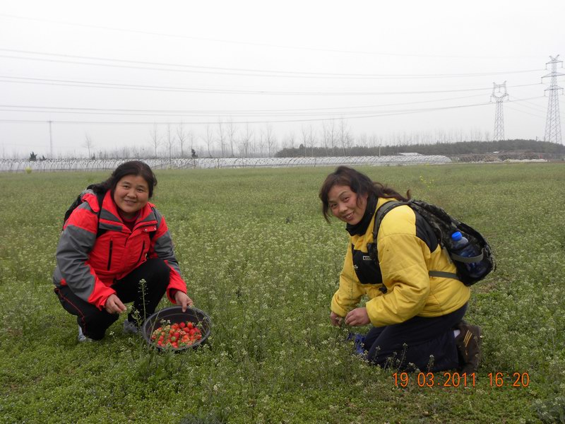dscn3749.jpg