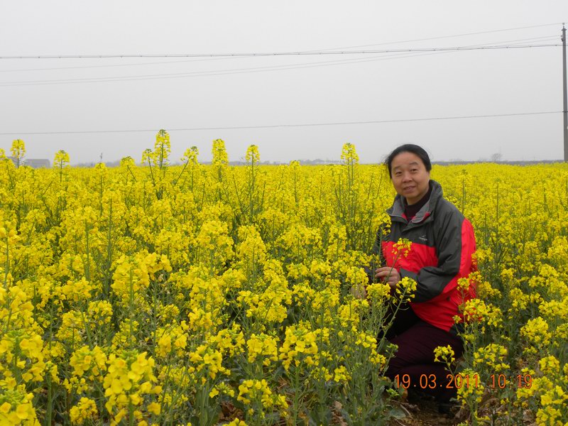 dscn3675.jpg