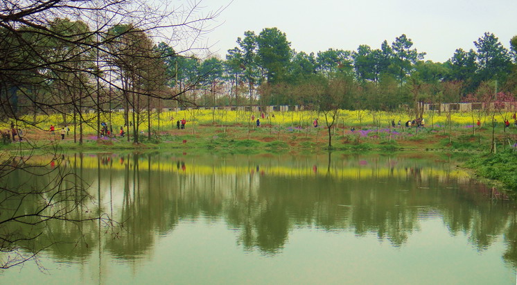dsc05170.jpg