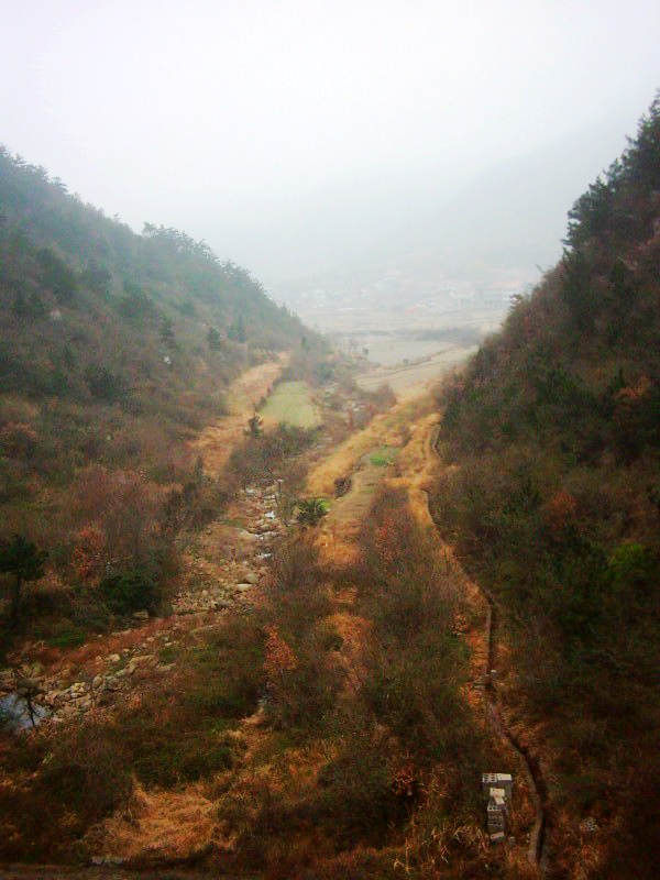 01.jpg