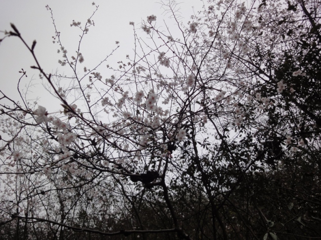 dsc04908.jpg