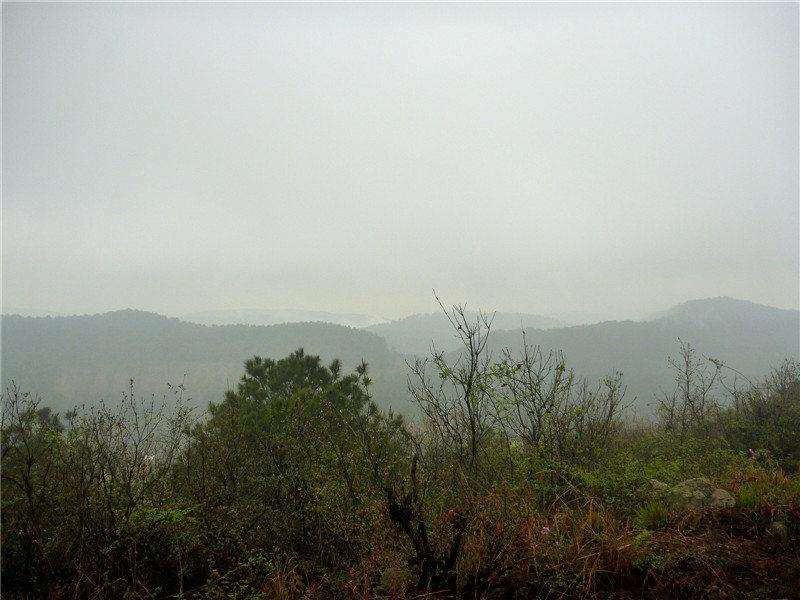 p1050062_.jpg