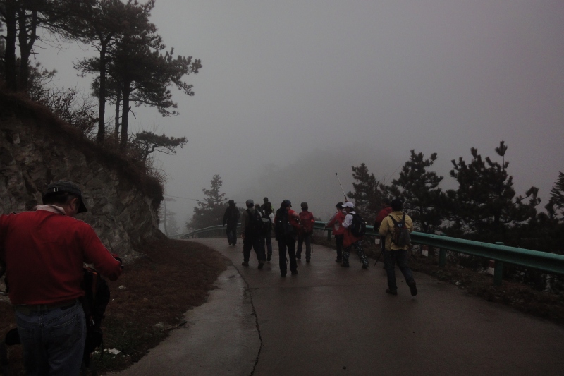 dsc04879.jpg