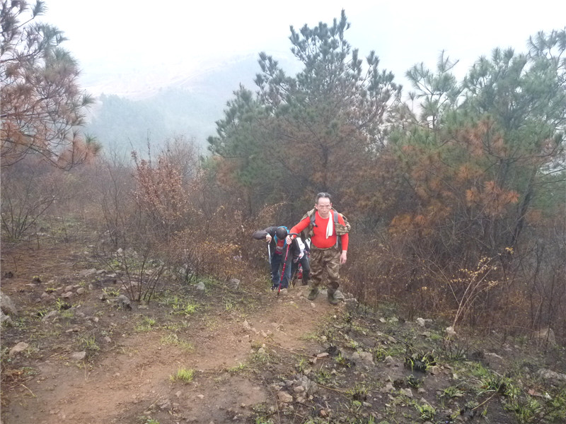 p1050088_.jpg