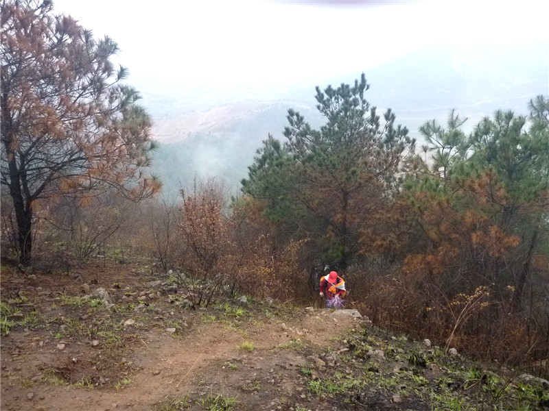 p1050086_.jpg