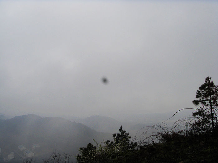 s73f1696.jpg