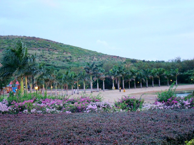 ӡ4.jpg
