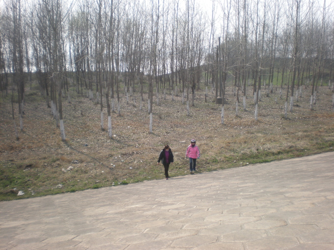 20110302_03.jpg