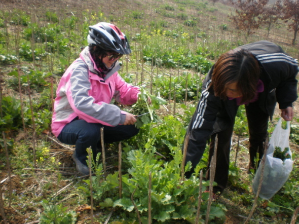 20110302_07.jpg