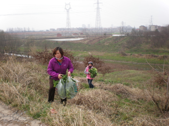 20110302_10.jpg