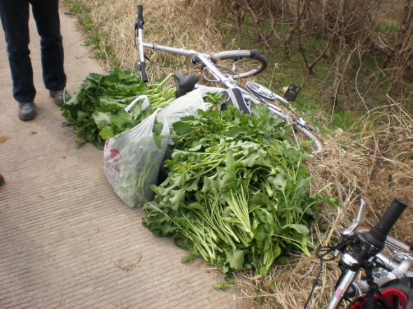 20110302_13.jpg