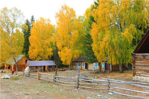 img_3453__0.jpg