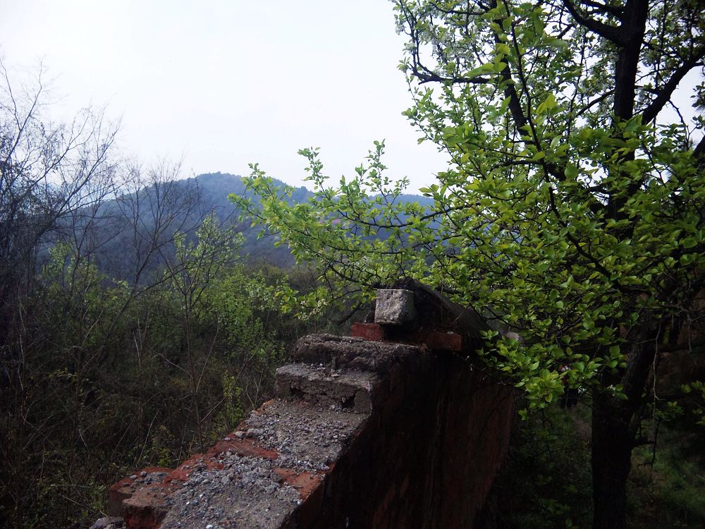 neo_img_dvc00107.jpg
