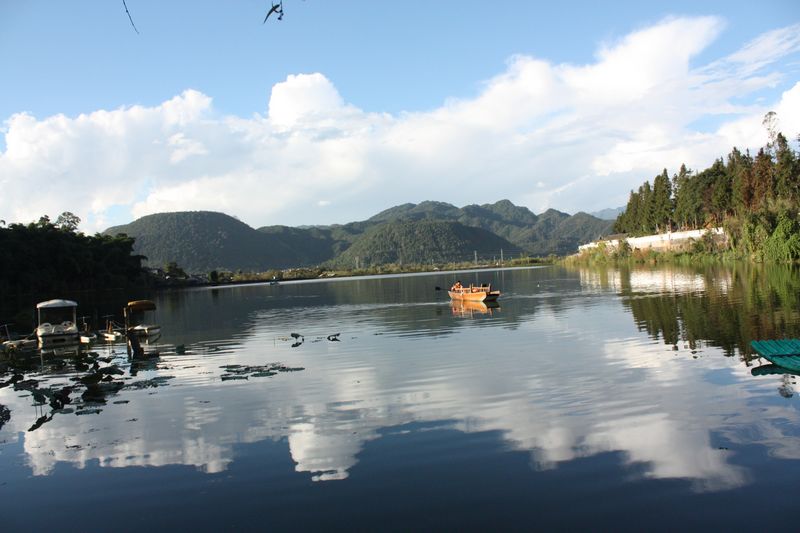 img_0290.jpg