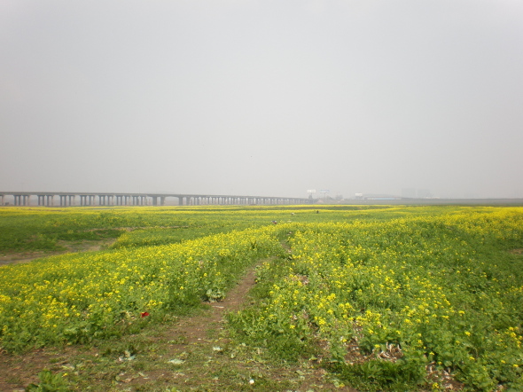  20110323_11.jpg