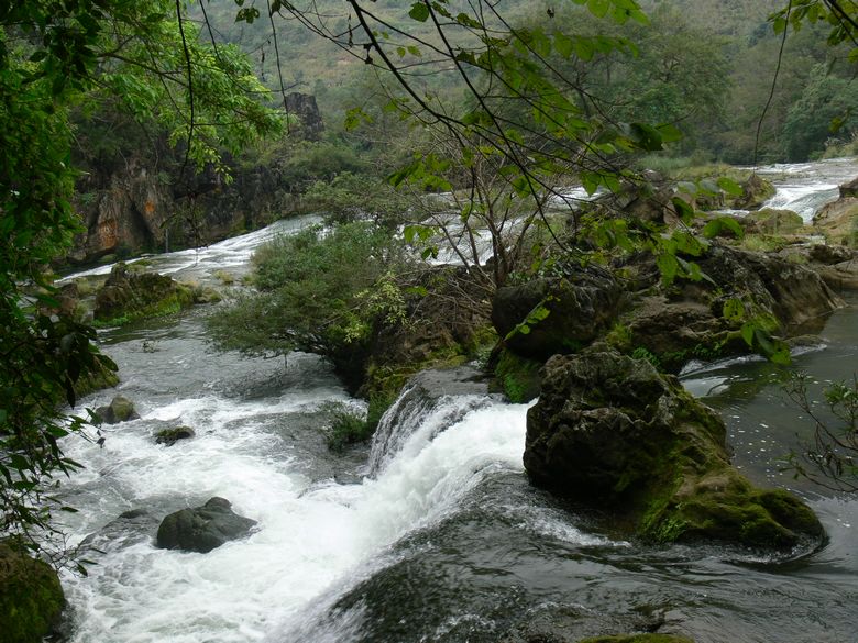 p1120692.jpg