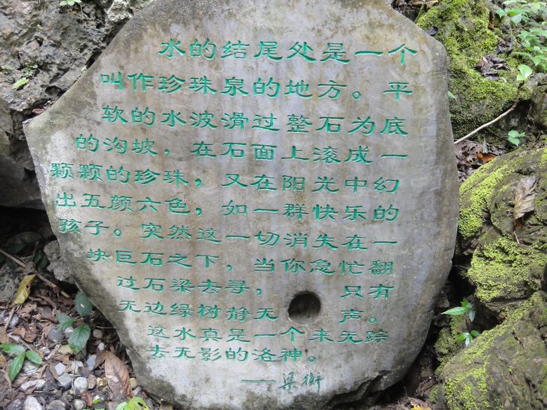 dsc03163.jpg