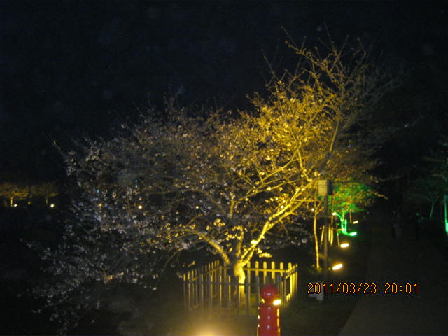 img_1644.jpg