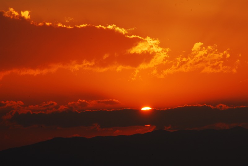 dsc_0462.jpg