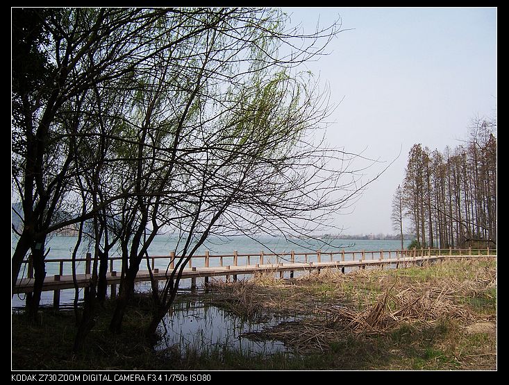 2011-3-24㾰 002.jpg