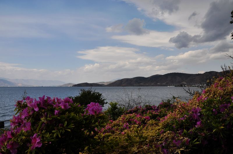 dsc_1162.jpg