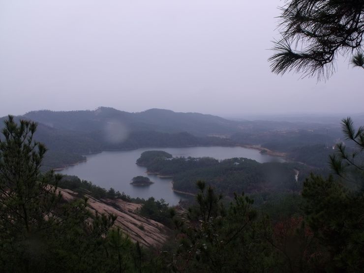 dscf9398.jpg