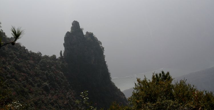 img_2110.jpg