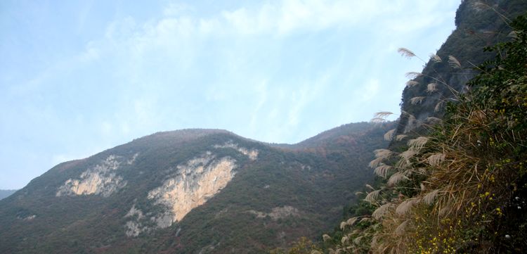 img_2160.jpg