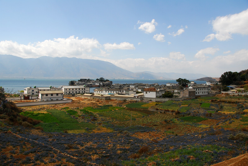 dsc_0911.jpg