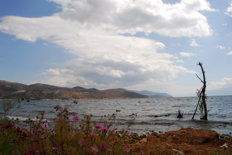 dsc_0922.jpg