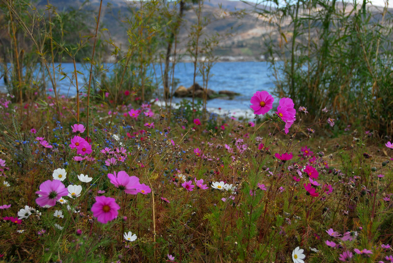 dsc_0927.jpg