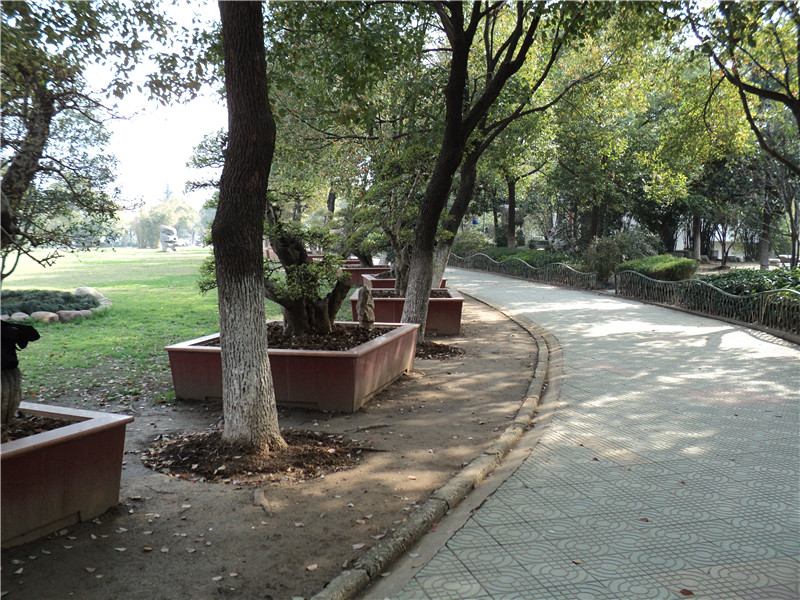 dsc02952_.jpg