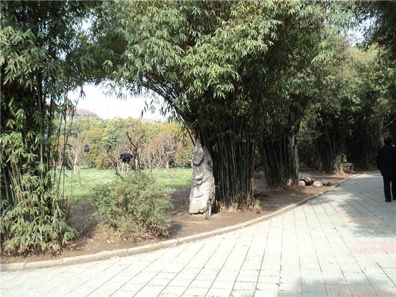 dsc02963_.jpg