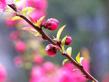 img_0285.jpg