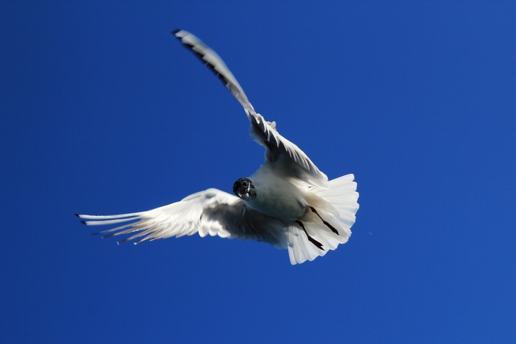 neo_img_img_1481.jpg