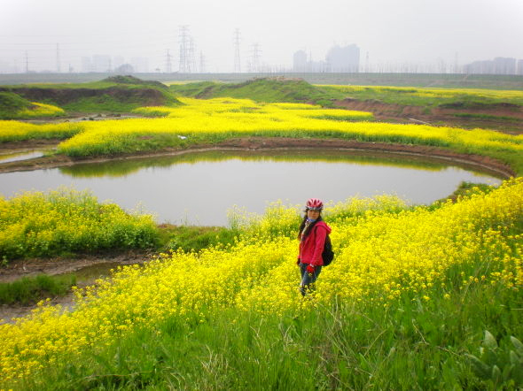 ڻ.jpg