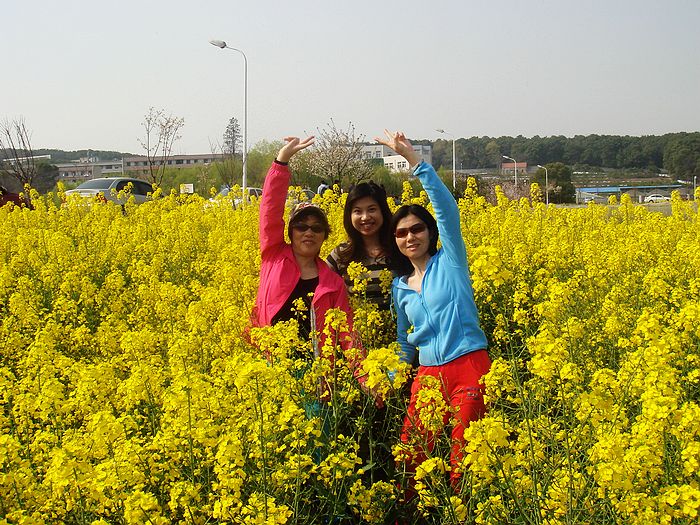 neo_img_dsc07262.jpg