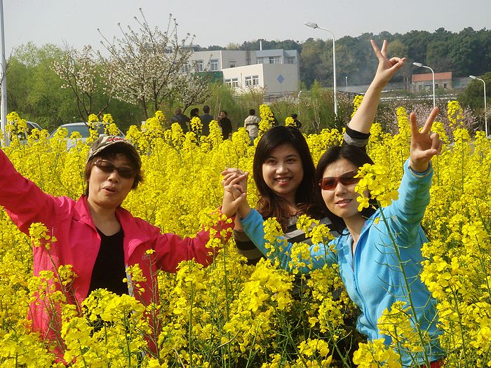neo_img_dsc07264.jpg