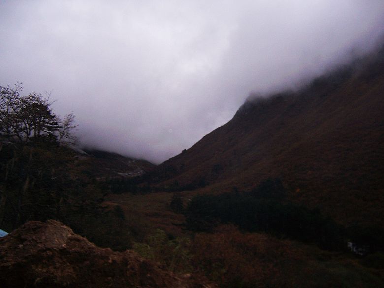 100_9500.jpg
