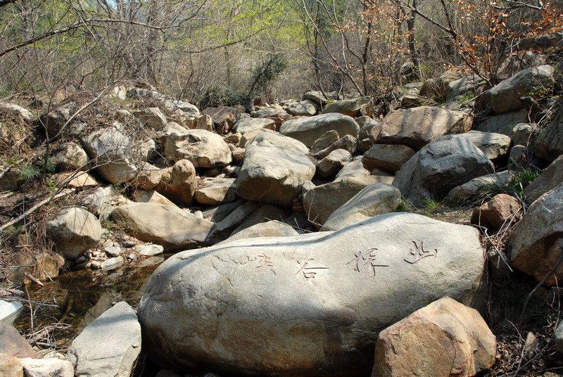 dsc_0037.jpg