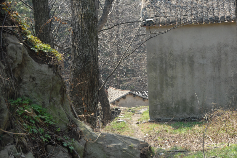 dsc_0064.jpg