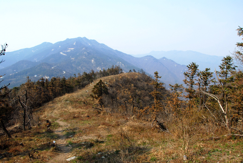 dsc_0127.jpg
