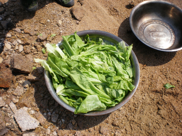 20110327_16.jpg