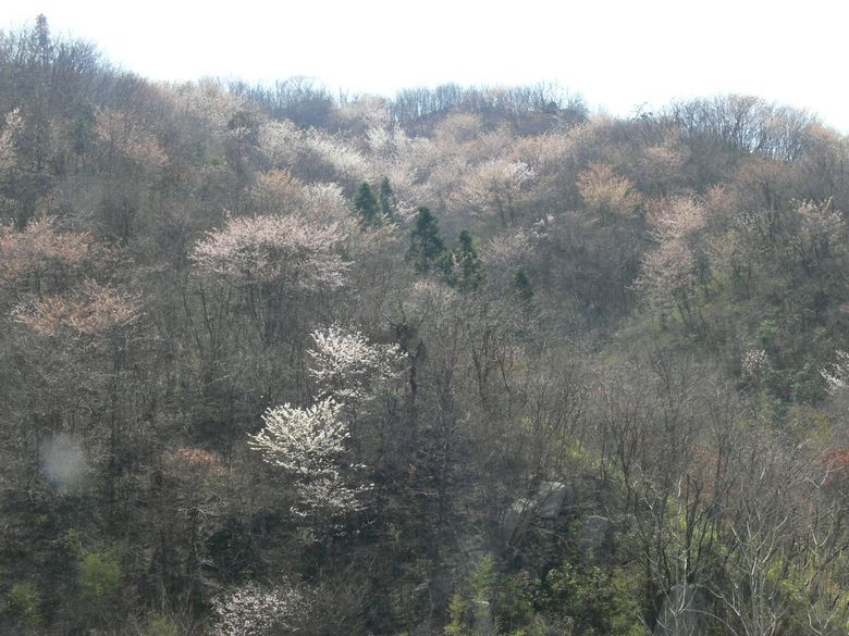 p1130803.jpg