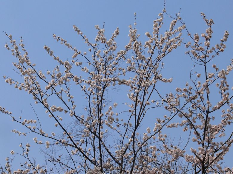 p1130814.jpg